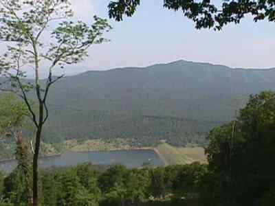 View from The Wildernest Inn