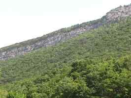 More of the Ridge...